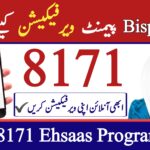 Full Guide for the 8171 Web Portal in 2025—Check Your Online Payment by CNIC, 57 news hd